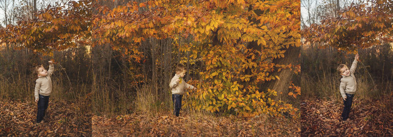 indiana family photography, greenville indiana family portraits, family photographer near me, louisville family photography